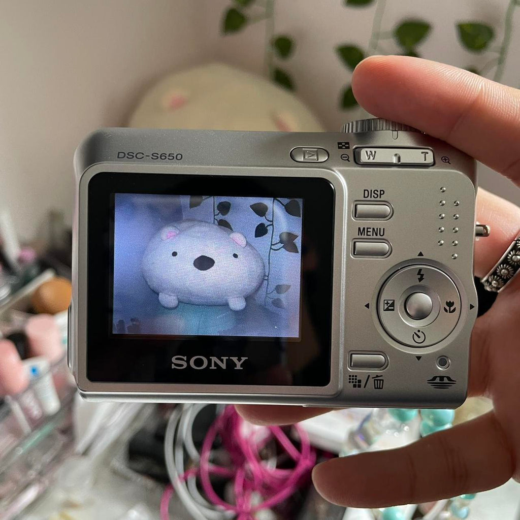 Sony Cybershot DSC-S650This cute little Sony...